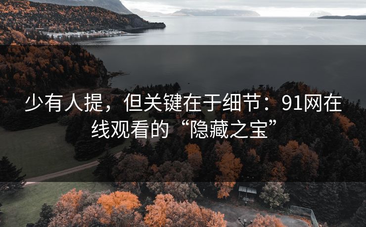 少有人提，但关键在于细节：91网在线观看的“隐藏之宝”